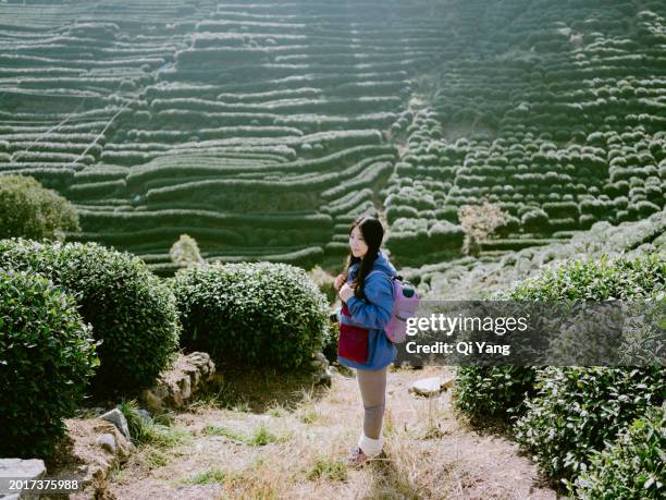 young asian female backpacker at tea plantation in the mountains - qi yang stock pictures, royalty-free photos & images