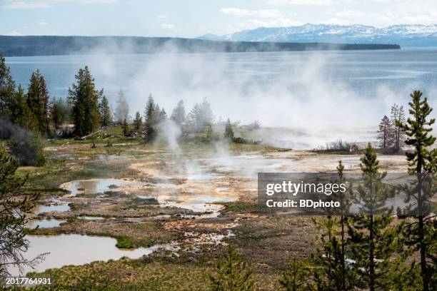 características geotérmicas de yellowstone - cuenca característica de la tierra fotografías e imágenes de stock