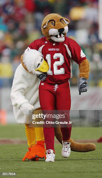 Butch" the Washington State Cougars mascot has the Oregon Ducks mascot by the neck during the game on November 09, 2002 at Martin Stadium in Pullman...