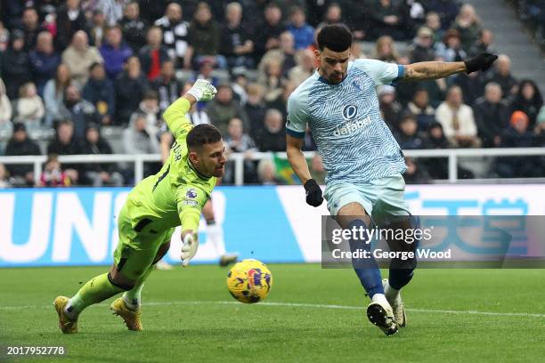 Dominic Solanke of AFC Bournemouth scores his team's first goal against Martin Dubravka of Newcastle United during the Premier League match between...