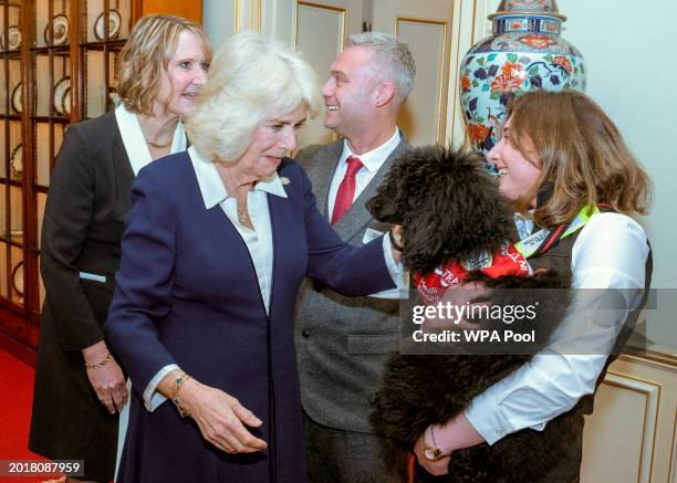 Queen Camilla meets detection dog Dasher as she hosts a Reception for the 15th Anniversary of the Medical Detection Dogs Charity at Clarence House on...