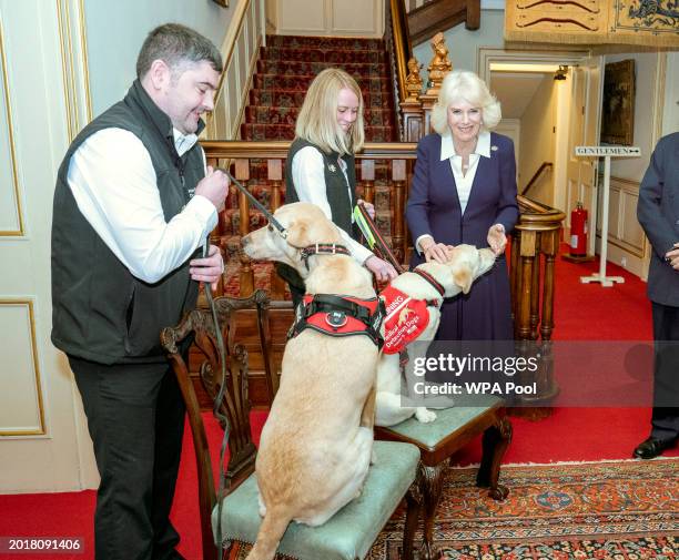 Queen Camilla with Detection Dogs Storm and Maggie as she hosts a Reception for the 15th Anniversary of the Medical Detection Dogs Charity at...