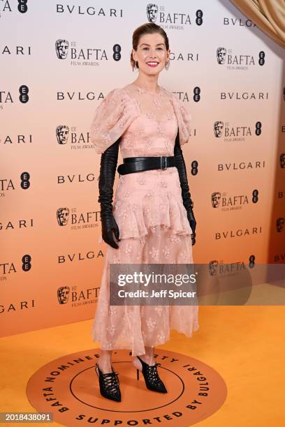Rosamund Pike attends the EE BAFTA Film Awards 2024 Nominees' Party, Supported By Bulgari at The National Gallery on February 17, 2024 in London,...