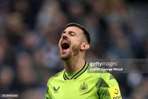 Martin Dubravka of Newcastle United looks dejected after the AFC Bournemouth first goal scored by Dominic Solanke during the Premier League match...