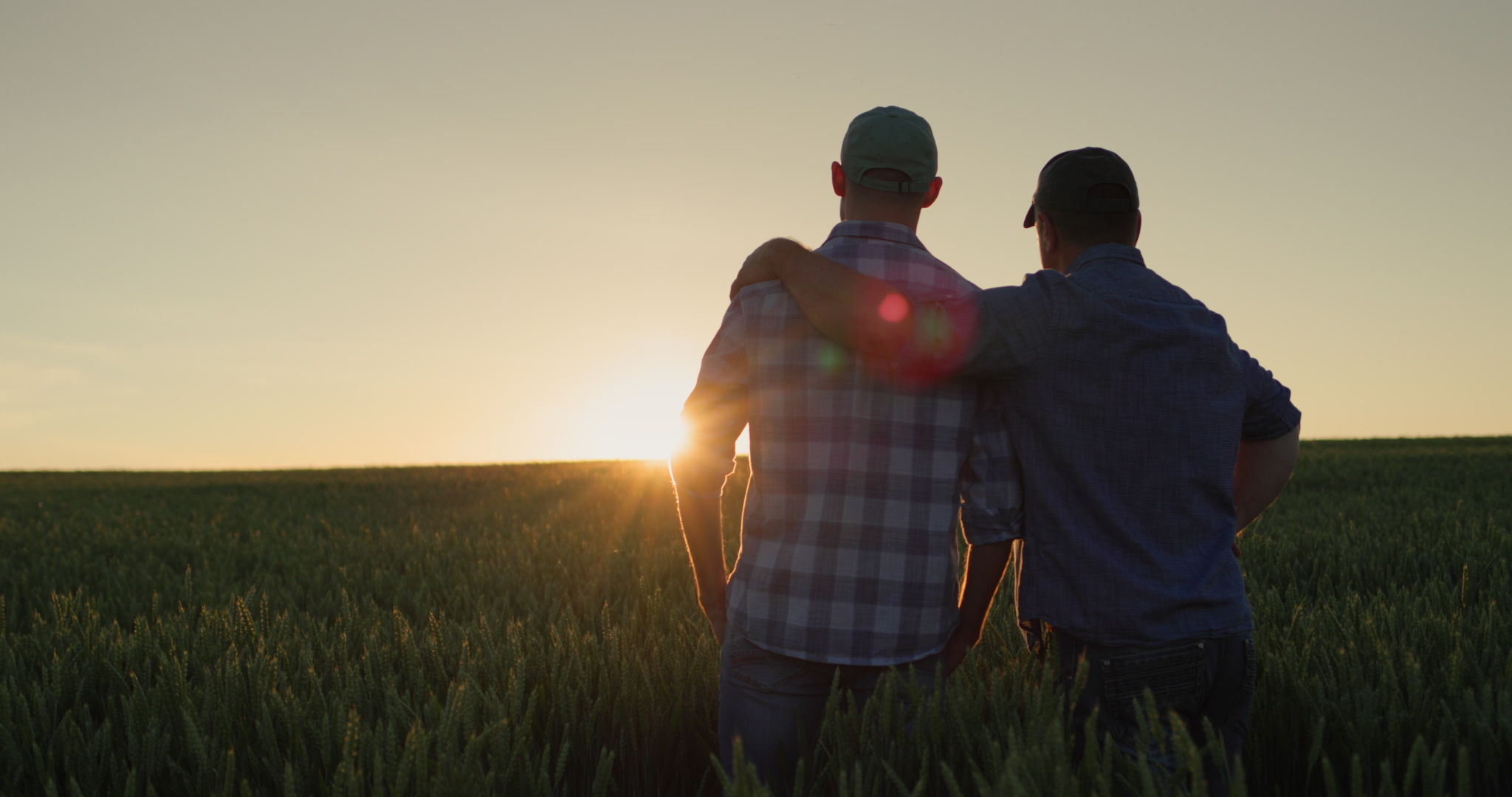 farmer field