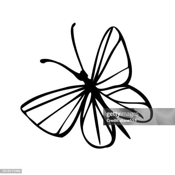 illustrazioni stock, clip art, cartoni animati e icone di tendenza di scarabocchio a inchiostro disegnato a mano di una farfalla su sfondo trasparente - farfalla