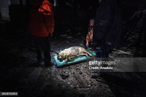Dog is rescued from a building as Russian missile attack hits an industrial zone of a utilities factory as result of the attack, four employees of a...