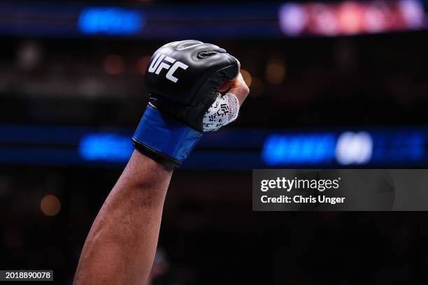 Detail view of a glove during the UFC 298 event at Honda Center on February 17, 2024 in Anaheim, California.