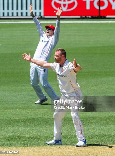 Nathan McAndrew and Kyle Brazell of the Redbacks appeals for LBW not given out during the Sheffield Shield match between South Australia and...