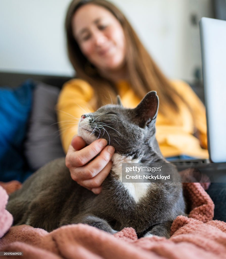 Lächelnde Frau, die an einem Laptop arbeitet und ihre Katze auf ihrem Sofa streichelt