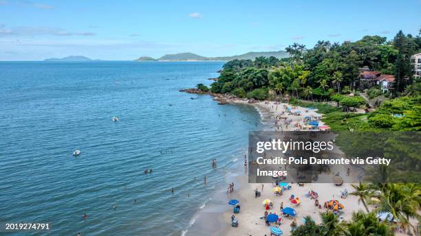 paradise beach of canajure in brazil - santa catarina brazil stock pictures, royalty-free photos & images