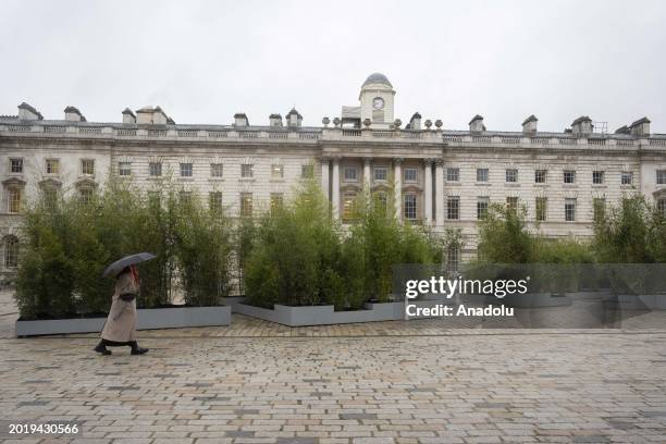 View of the courtyard of Somerset House which transformed into a bamboo garden by Hong Kong artist Zheng Bo in London, United Kingdom on February 21,...