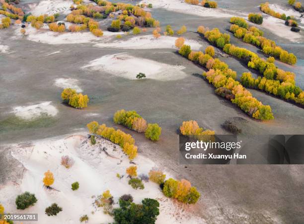 autumn forest natural landscape - aerial top view steppe stock pictures, royalty-free photos & images