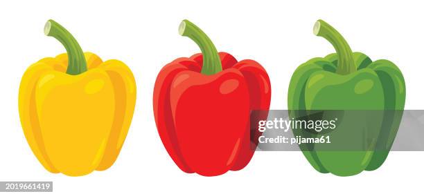 three bell peppers - bell pepper stock-grafiken, -clipart, -cartoons und -symbole