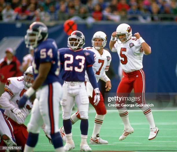 Cardinal Rutherford Johnson 17 Greg Davis Cardinals Stock Photos, High-Res Pictures, and Images ...