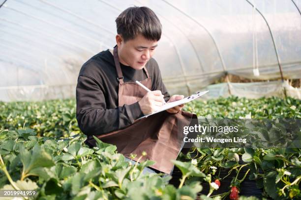 asian man looking at plantation - xiamen stock pictures, royalty-free photos & images