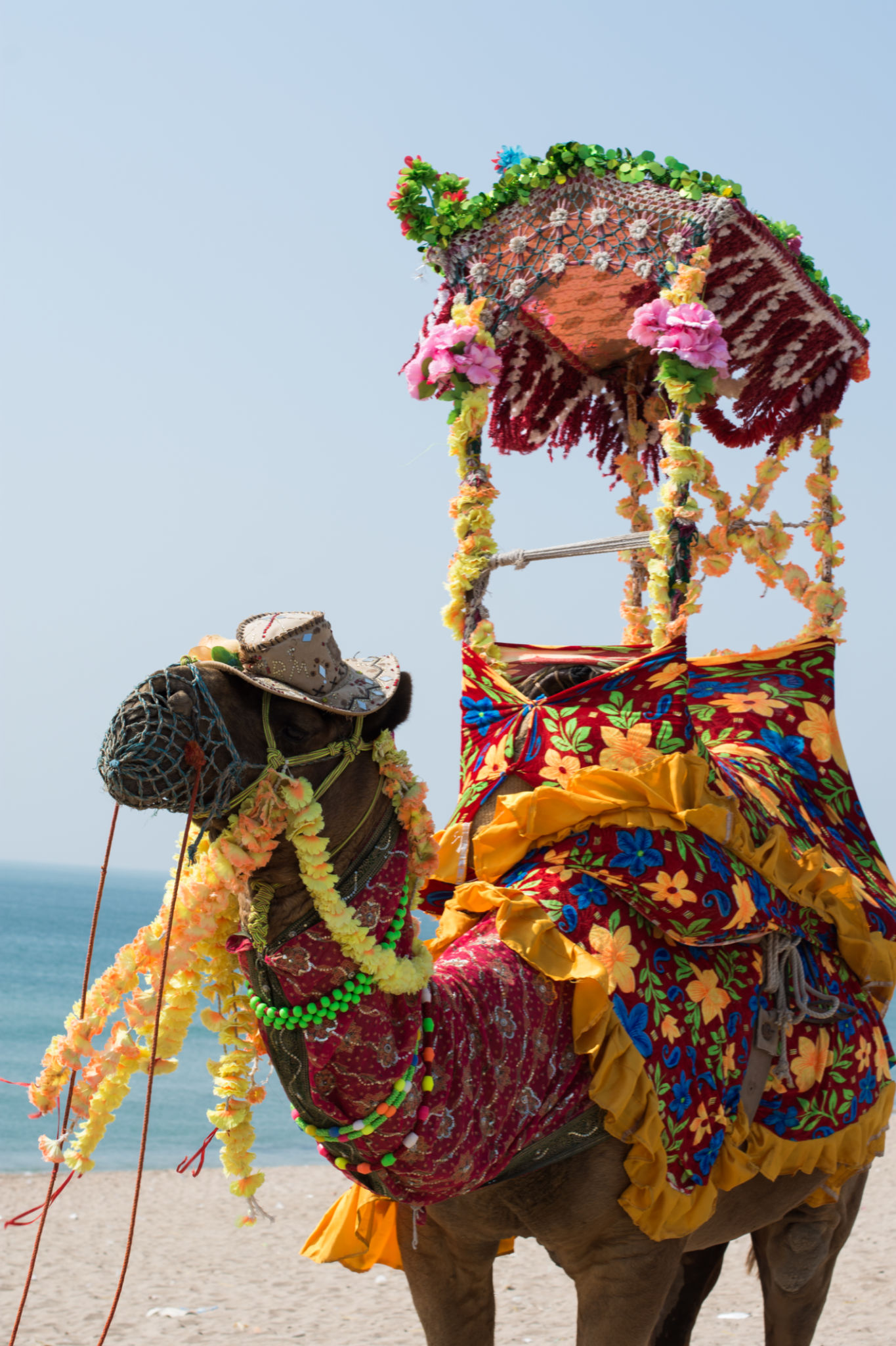 gujarat transportation