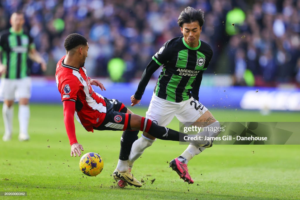 Kaoru Mitoma is on loan at Brighton until the end of the season