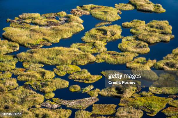 floating islands of totora reeds - floating island stock pictures, royalty-free photos & images