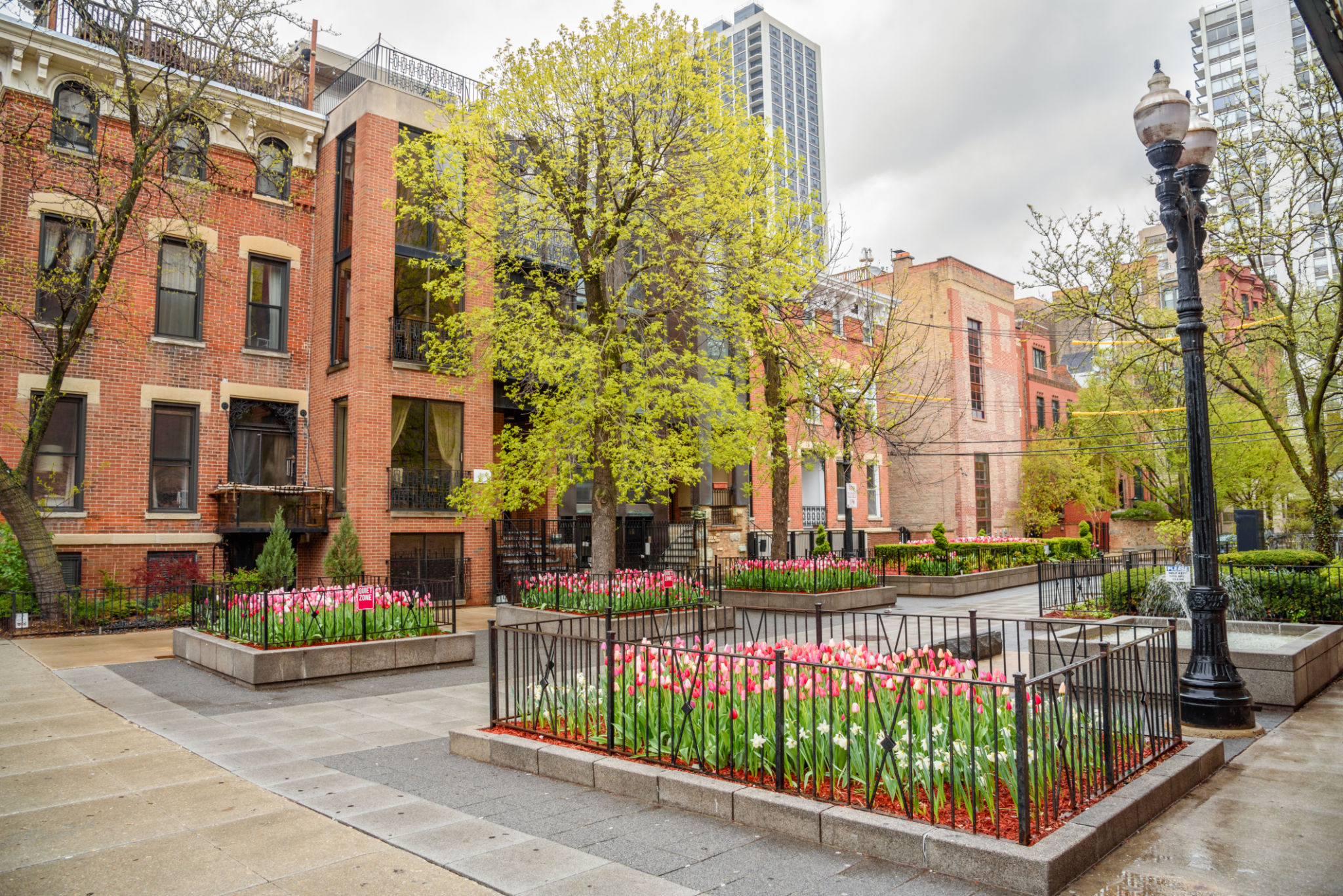 chicago neighborhood