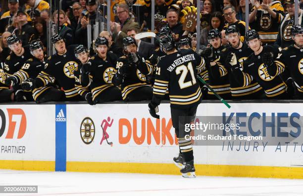 James van Riemsdyk of the Boston Bruins celebrates his first of two goals against the Los Angeles Kings during the first period at the TD Garden on...