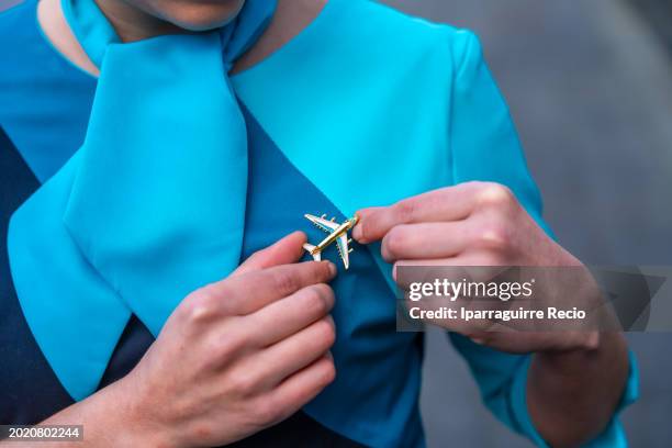 flight attendant pinning a badge on her lapel - tripulação imagens e fotografias de stock