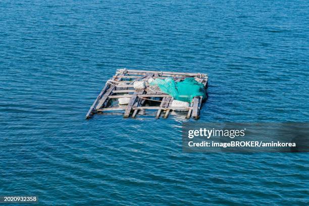 97 Foam Raft Stock Photos, High-Res Pictures, and Images - Getty Images