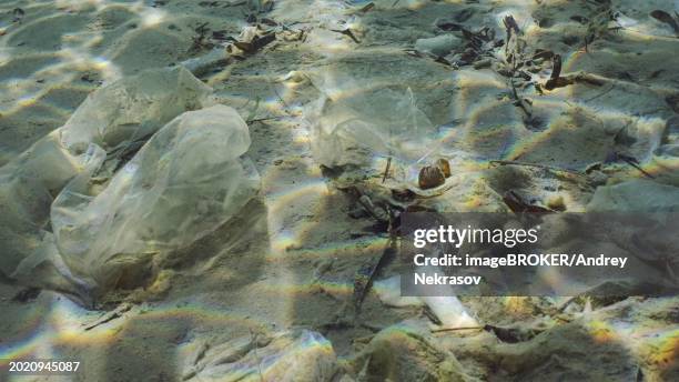 plastic garbage lies on sandy-silty bottom of sea in shallow water on bright sunny day in sun glare. seabed polluted with plastic and other debris, red sea, safaga, egypt, africa - fondale marino foto e immagini stock