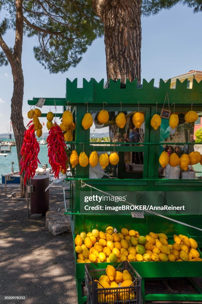 Stall with chilli peppers and lemon citrus (Citrus medica), Cedrat, Lake Garda, Sirmione, Province of Brescia, Lombardy, Italy, Europe