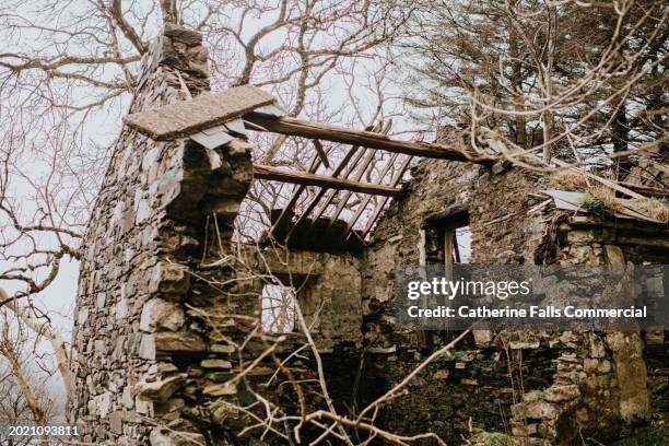 an abandoned house in a state of ruin - abandoned place stock pictures, royalty-free photos & images
