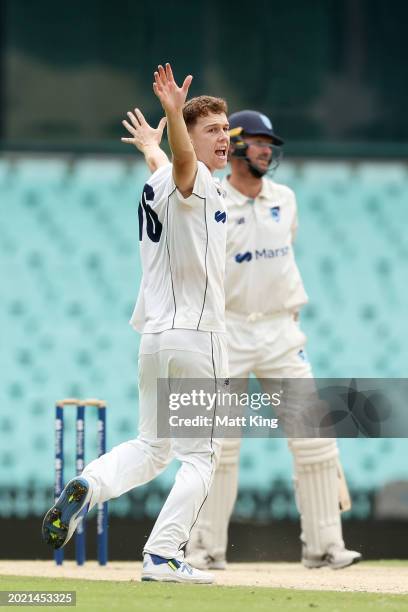 Mitchell Perry of Victoria appeals successfully for the wicket of Jackson Bird of New South Wales during the Sheffield Shield match between New South...