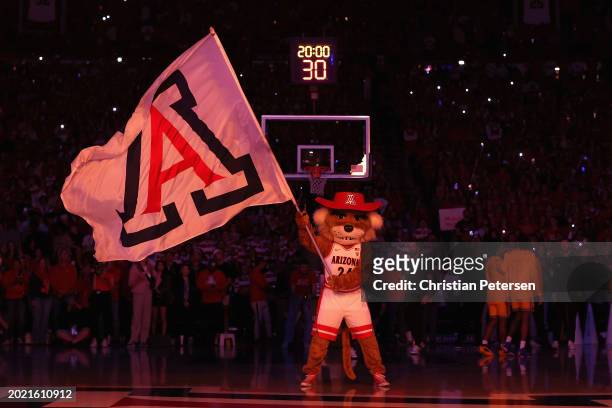 Arizona Wildcats mascot Wilbur T. Wildcat performs during the NCAAB game at McKale Center on February 17, 2024 in Tucson, Arizona.