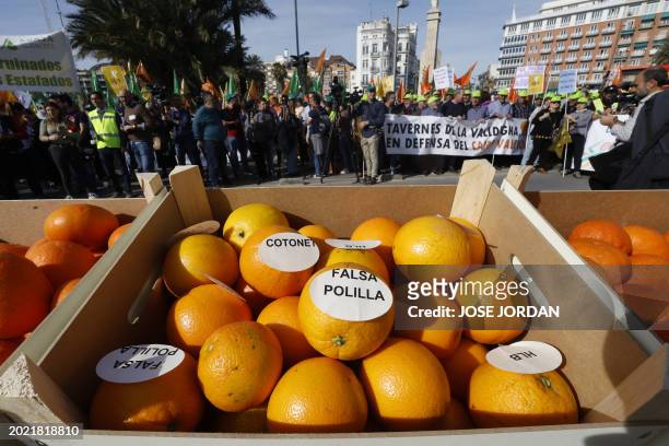 This photograph shows a crate of oranges with stickers reading "False codling moth" during a farmers protest to denounce their conditions and the...