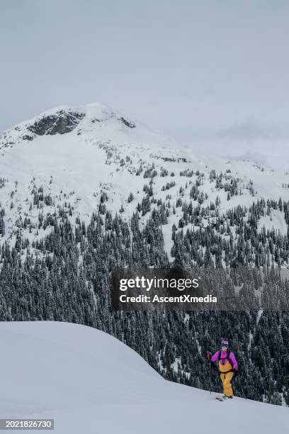 aerial view of backcountry skier climbing mountain - nordic skiing stock pictures, royalty-free photos & images