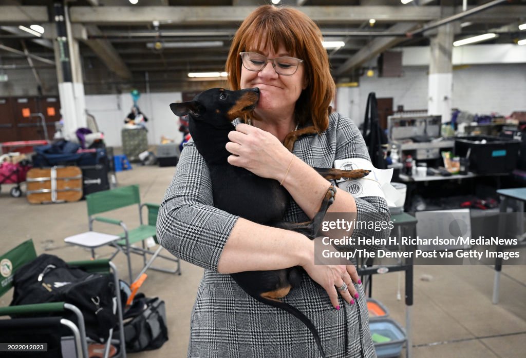 Colorado Kennel Dog Show