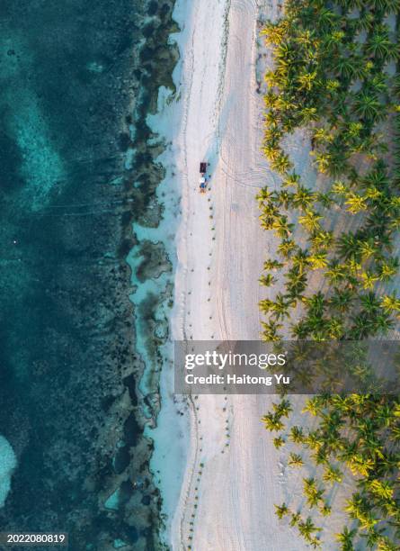 aerial view of south palms beach in panglao island - philippines stockfoto's en -beelden