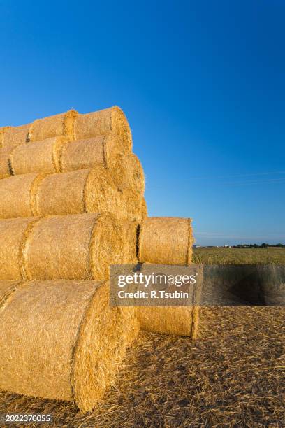 piled hay bales on a field against blue sky - stubble texture stock pictures, royalty-free photos & images