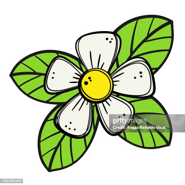 stockillustraties, clipart, cartoons en iconen met cute jasmine flower cartoon isolated on white - jasmine flower