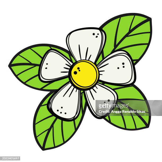 cute jasmine flower cartoon isolated on white - jasmine flower stock illustrations