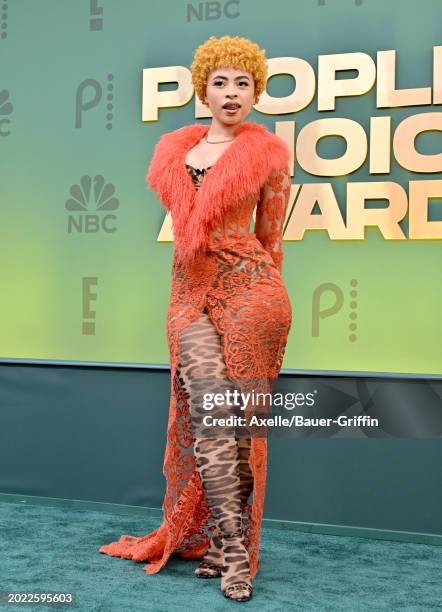 Ice Spice attends the 2024 People's Choice Awards at Barker Hangar on February 18, 2024 in Santa Monica, California.