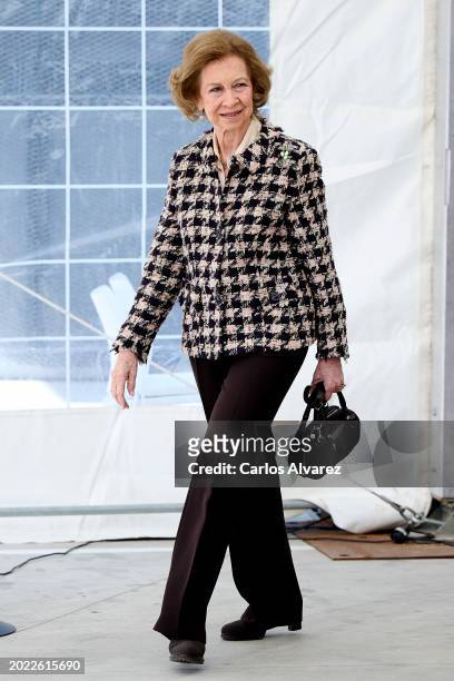 Queen Sofia visits the new Dialysis Center "Los Llanos III" on February 19, 2024 in Madrid, Spain.
