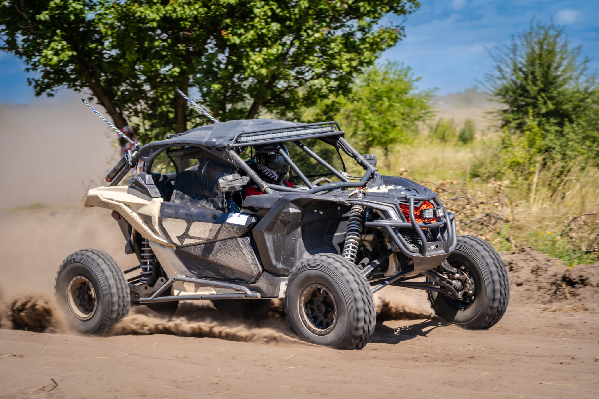 buggy adventure