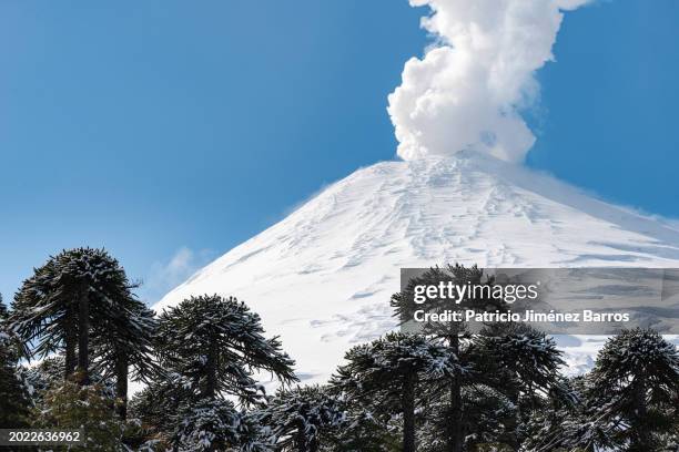 villarrica volcano - villarrica stock pictures, royalty-free photos & images