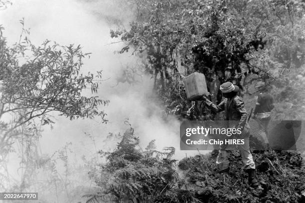 Intervention de l'armée équatorienne lors de l'incendie sur l'île Isabela dans les îles Galápagos, le 20 mars 1985.