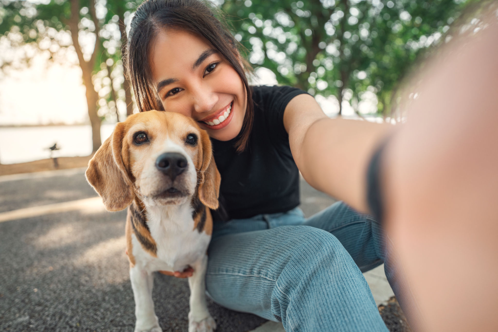 dog in park