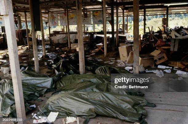 The bodies of victims of the mass suicide at Jonestown are gathered to be transported by helicopter to Georgetown International Airport, Guyana,...