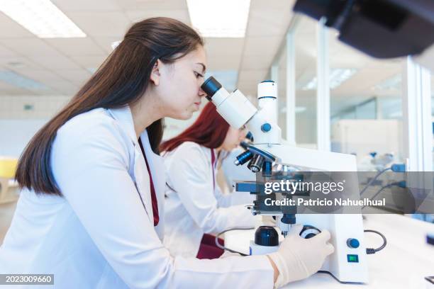 microscopic analysis: young female medical technologist examining gram stained sample through microscope in laboratory - célula cultivada fotografías e imágenes de stock