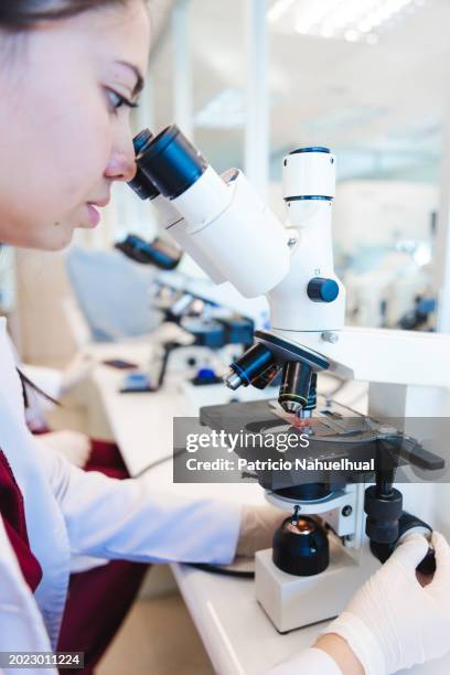 laboratory expertise: young female medical technologist engaged in microscopic analysis of gram stained sample. - célula cultivada fotografías e imágenes de stock