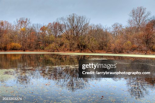 Late Autumn Scene in Perry County