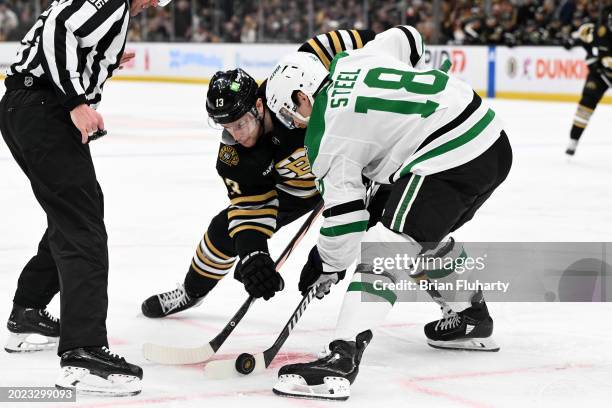 Face-off between Charlie Coyle of the Boston Bruins and Sam Steel of the Dallas Stars during the first period at the TD Garden on February 19, 2024...